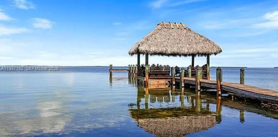 Townhouse in Key Largo, Florida 2 bedrooms, 125.23 sq.m. № 1995210