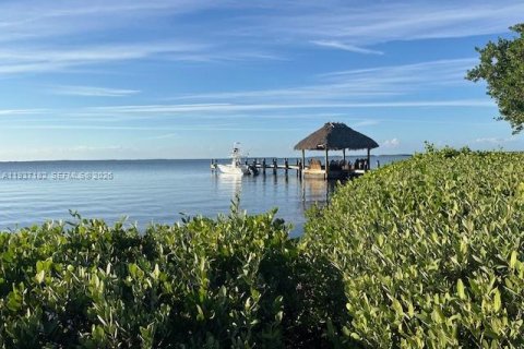 Townhouse in Key Largo, Florida 2 bedrooms, 125.23 sq.m. № 1995210 - photo 3