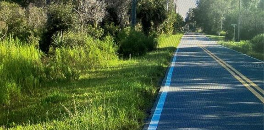 Land in Crystal River, Florida № 1795182