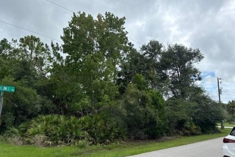 Land in Palm Coast, Florida № 1832177 - photo 2