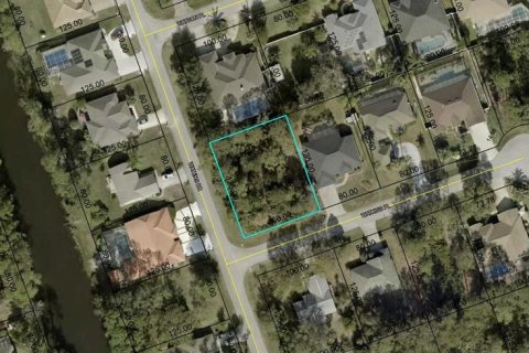 Land in Palm Coast, Florida № 1832177 - photo 4