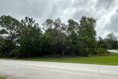 Land in Palm Coast, Florida № 1832177 - photo 3