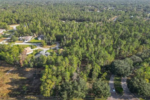 Land in Homosassa, Florida № 2160898 - photo 2