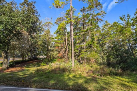 Land in Homosassa, Florida № 2160898 - photo 4