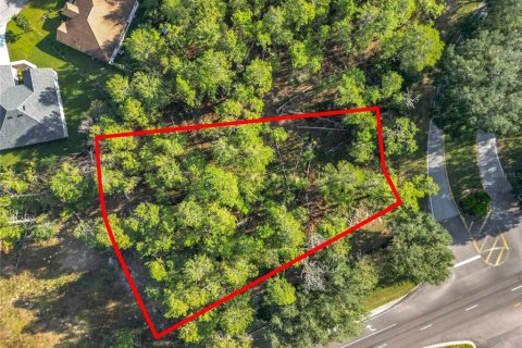 Land in Homosassa, Florida № 2160898