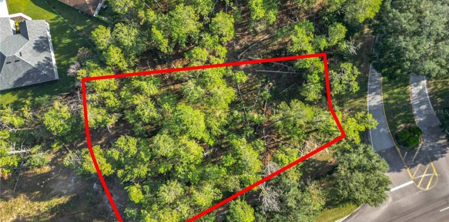 Land in Homosassa, Florida № 2160898