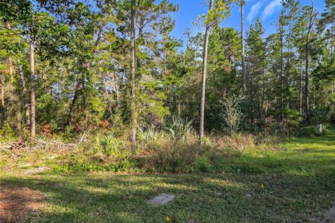 Land in Homosassa, Florida № 2160898 - photo 5