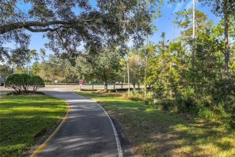 Land in Homosassa, Florida № 2160898 - photo 3