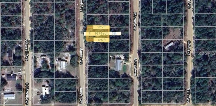 Land in Interlachen, Florida № 2164521