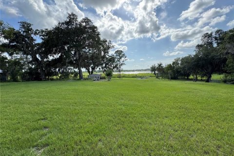Terreno en Wesley Chapel, Florida № 2110621