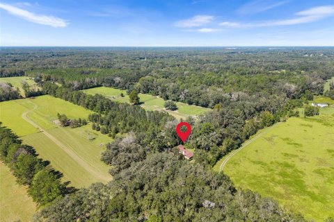 Villa ou maison à vendre à Alachua, Floride: 3 chambres, 174.28 m2 № 2418731 - photo 2