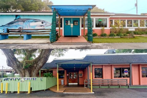 Commercial property in Brandon, Florida 486.81 sq.m. № 2139735 - photo 2