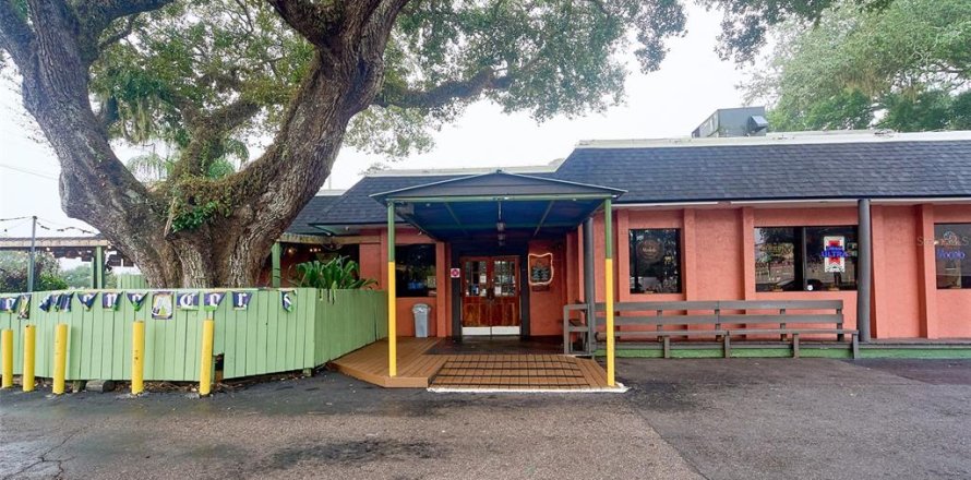 Commercial property in Brandon, Florida 486.81 sq.m. № 2139735