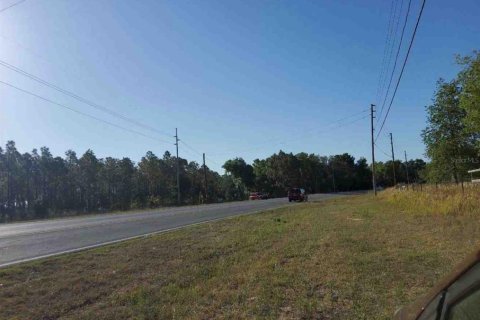 Land in Ocklawaha, Florida № 1644115 - photo 3
