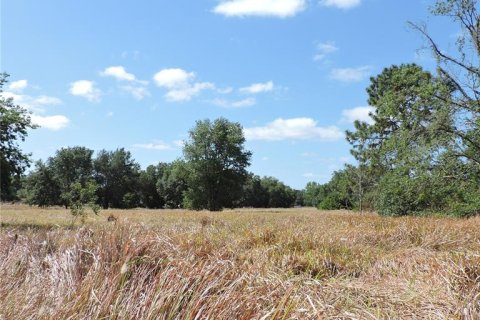 Land in Ocklawaha, Florida № 1644115 - photo 24