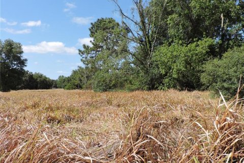 Land in Ocklawaha, Florida № 1644115 - photo 25