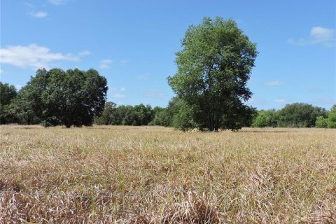 Land in Ocklawaha, Florida № 1644115 - photo 20