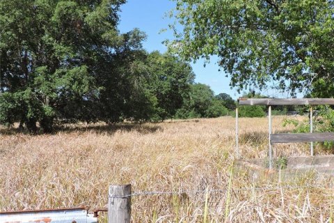 Land in Ocklawaha, Florida № 1644115 - photo 14