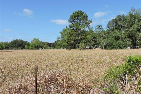Land in Ocklawaha, Florida № 1644115 - photo 21