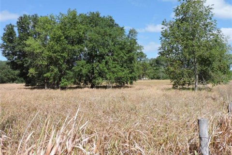 Land in Ocklawaha, Florida № 1644115 - photo 9