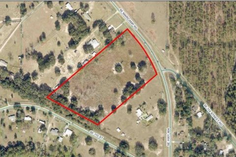 Land in Ocklawaha, Florida № 1644115 - photo 1