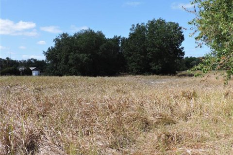 Land in Ocklawaha, Florida № 1644115 - photo 10