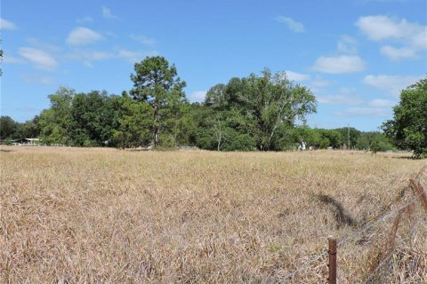 Land in Ocklawaha, Florida № 1644115 - photo 18