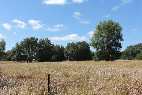 Land in Ocklawaha, Florida № 1644115 - photo 22