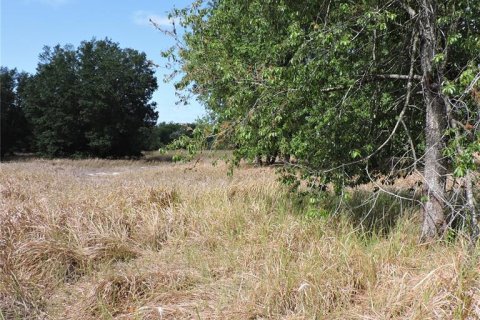 Land in Ocklawaha, Florida № 1644115 - photo 11