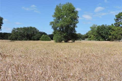 Land in Ocklawaha, Florida № 1644115 - photo 17