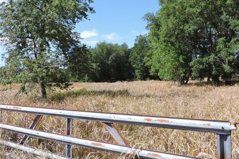 Land in Ocklawaha, Florida № 1644115 - photo 13