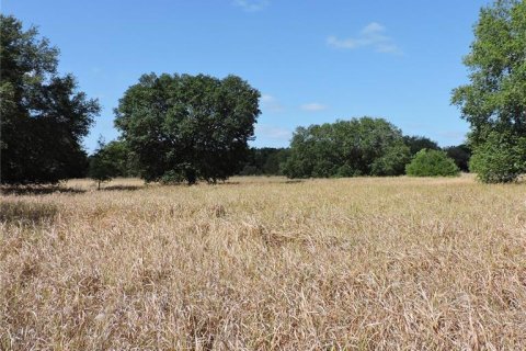 Land in Ocklawaha, Florida № 1644115 - photo 16