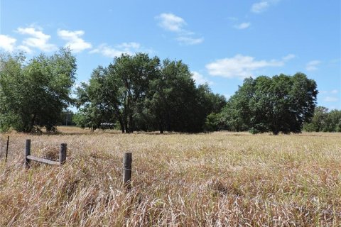Land in Ocklawaha, Florida № 1644115 - photo 19