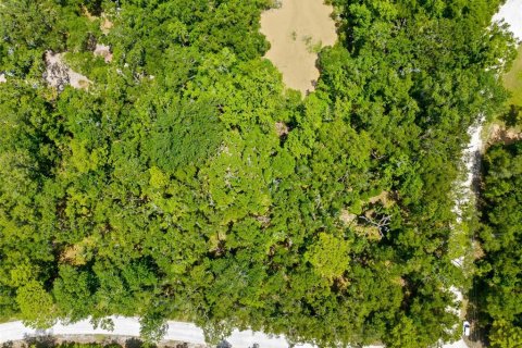 Land in Weeki Wachee, Florida № 2102277 - photo 22
