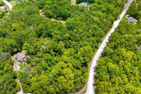 Land in Weeki Wachee, Florida № 2102277 - photo 12