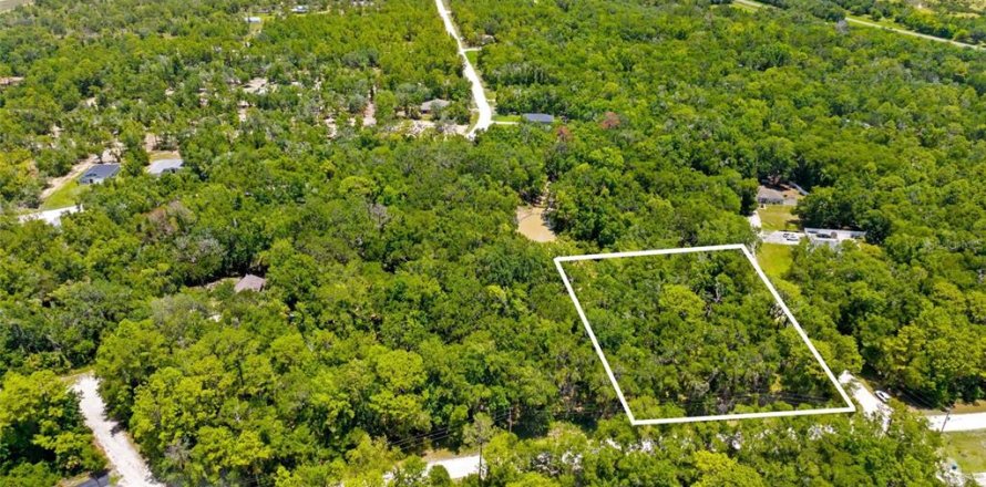 Land in Weeki Wachee, Florida № 2102277