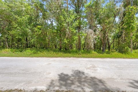 Land in Weeki Wachee, Florida № 2102277 - photo 14