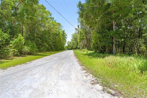Land in Weeki Wachee, Florida № 2102277 - photo 5