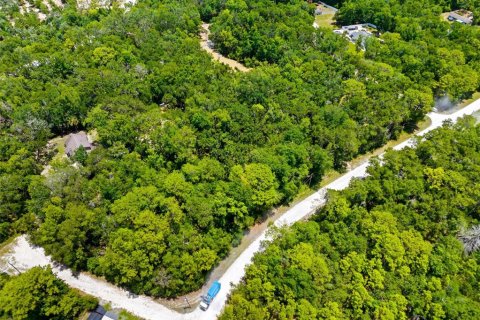 Land in Weeki Wachee, Florida № 2102277 - photo 13