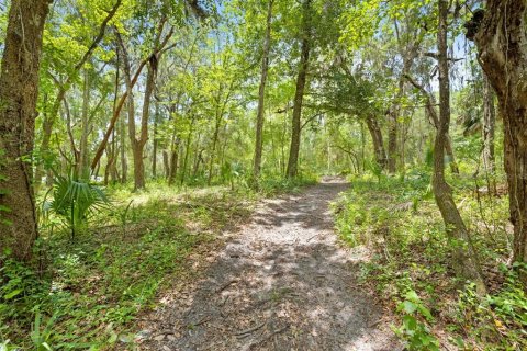 Land in Weeki Wachee, Florida № 2102277 - photo 25