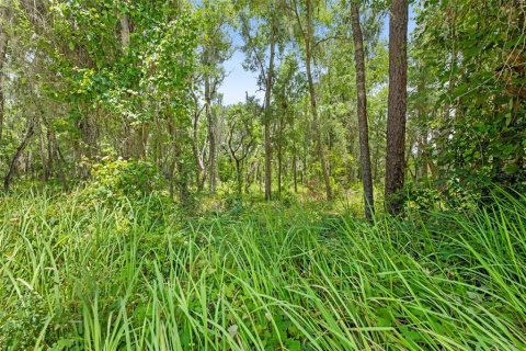 Land in Weeki Wachee, Florida № 2102277 - photo 24