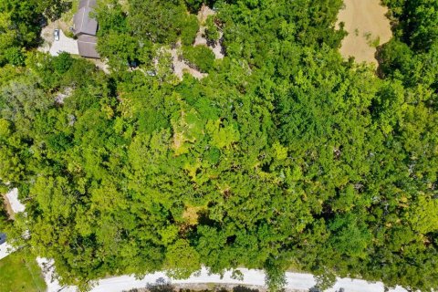Land in Weeki Wachee, Florida № 2102277 - photo 21