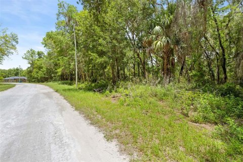 Land in Weeki Wachee, Florida № 2102277 - photo 8
