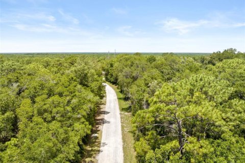 Land in Weeki Wachee, Florida № 2102277 - photo 2