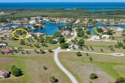 Land in Punta Gorda, Florida № 1373210 - photo 8