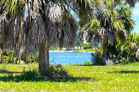 Land in Punta Gorda, Florida № 1373210 - photo 5