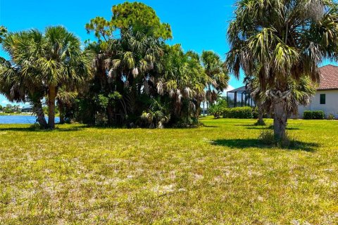 Land in Punta Gorda, Florida № 1373210 - photo 7