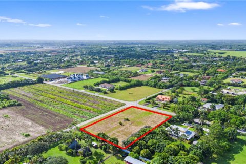 Land in Homestead, Florida № 1878888 - photo 4