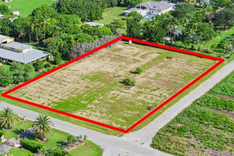 Land in Homestead, Florida № 1878888 - photo 2