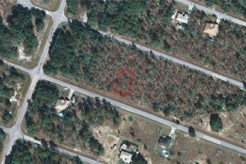 Land in Ocklawaha, Florida № 2164695